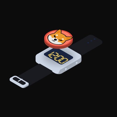 Shiba Inu Floating Over a Watch (Back) - illustration from Crypto & Currency Watch Float