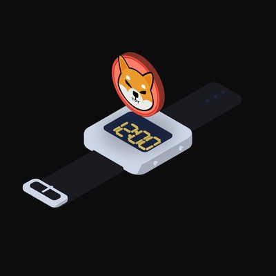 Shiba Inu Floating Over a Watch - illustration from Crypto & Currency Watch Float